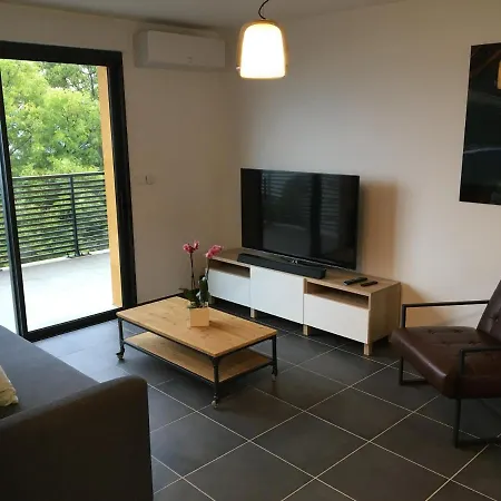 Apartment Terrasses Et Vue Lac