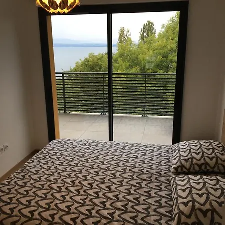 Terrasses Et Vue Lac Apartment Evian-les-Bains